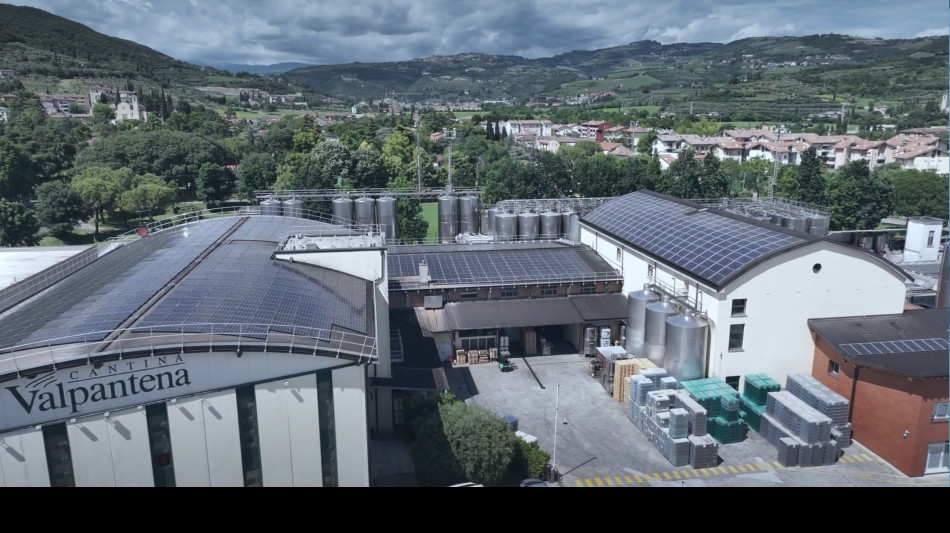 Per Cantine di Verona ricavi a 58,3 milioni (+1,57%) nel 2024/25