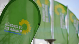 Landesvorstand von Brandenburger Gr&uuml;nen k&uuml;ndigt vorzeitigen R&uuml;ckzug an
