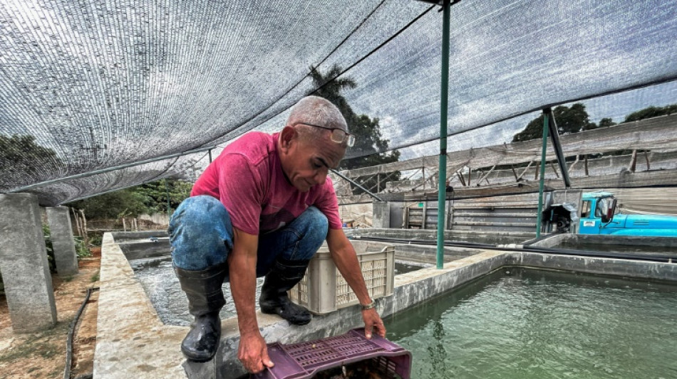 La acuapon&iacute;a, una alternativa ante la escasez de pescado en Cuba