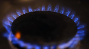 Il prezzo del gas in altalena sale a 78,5 euro al megawattora