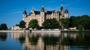 Vor Wahl in Mecklenburg-Vorpommern: SPD in Umfrage knapp hinter AfD