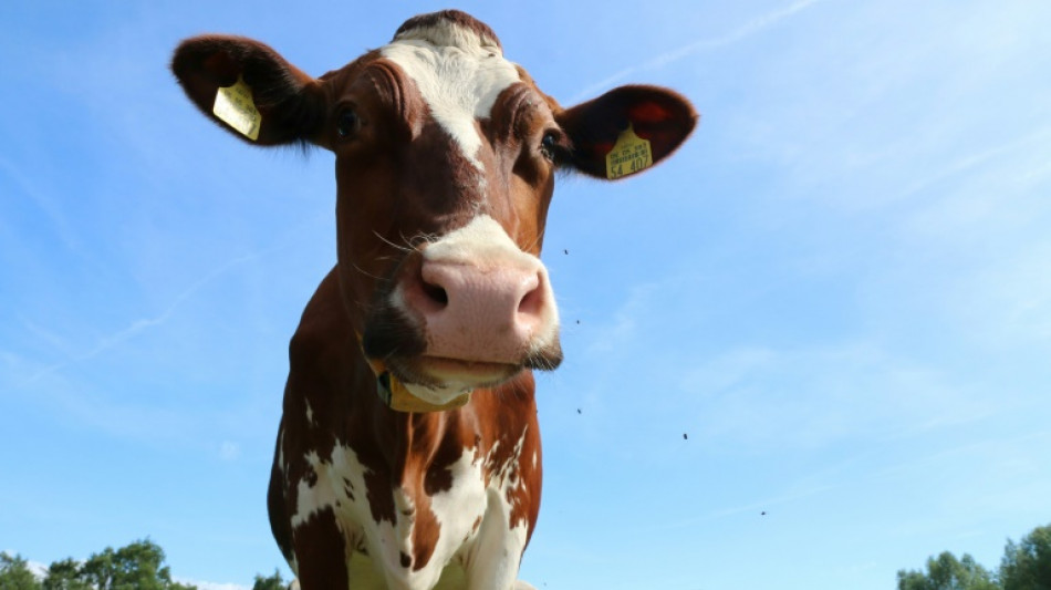 Trend zur Umstellung auf &Ouml;ko-Betrieb in der Landwirtschaft h&auml;lt an