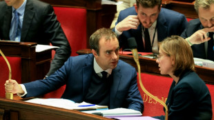 Les d&eacute;put&eacute;s s'appr&ecirc;tent &agrave; baisser le rideau sur la partie "recettes" du budget de l'Etat
