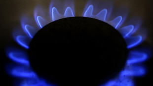 Il prezzo del gas vola sopra i 43 euro al megawattora