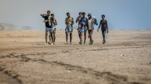 "Des gens sont morts devant nos yeux": sur la Route de l'Est, le calvaire des migrants