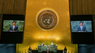 UN General Assembly calls for Gaza ceasefire, pressure on Israel