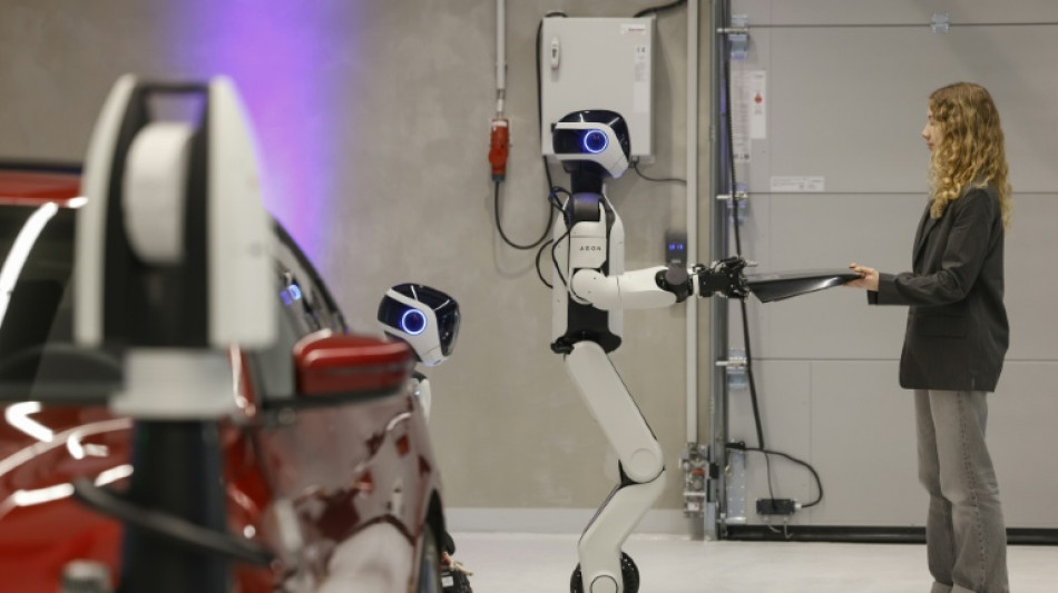 Carmaker BMW to trial humanoid robots at German factory