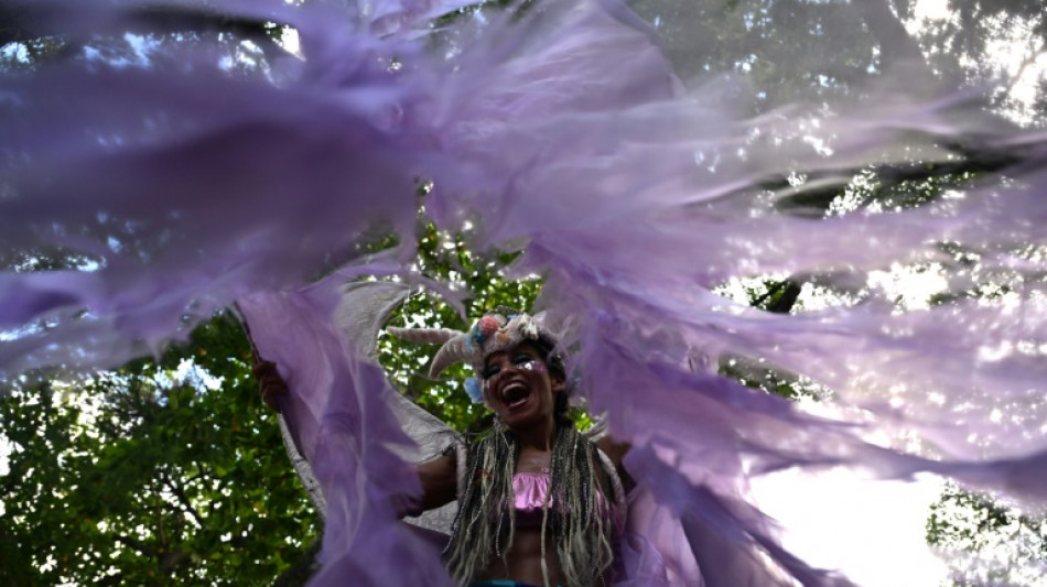 "Le carnaval est là": à Rio, que la fête commence 