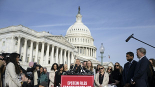 US-Abgeordnete stimmen für Freigabe der Epstein-Akten 