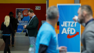 Gericht: Verf&uuml;gung gegen KI-generierten AfD-Wahlwerbespot Brandenburg rechtens