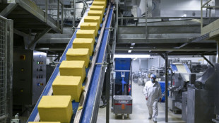 Menschen in Deutschland essen mehr K&auml;se und weniger Butter