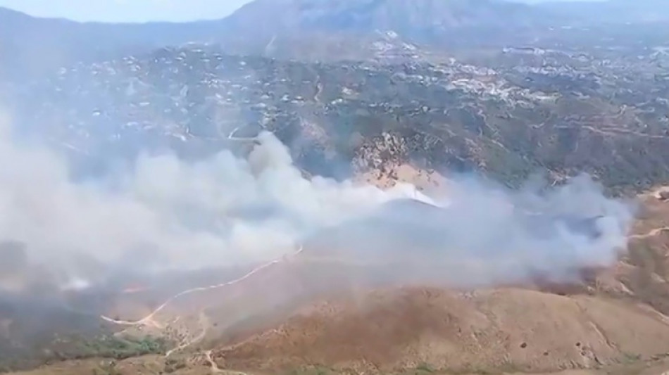 Un incendio forestal en la Costa del Sol, en Espa&ntilde;a, deja dos heridos