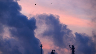 Stimmung in der chemischen Industrie tr&uuml;bt sich weiter ein