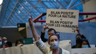COP15 Biodiversit&eacute;: les d&eacute;fenseurs de l'environnement craignent que l'accord final soit inop&eacute;rant