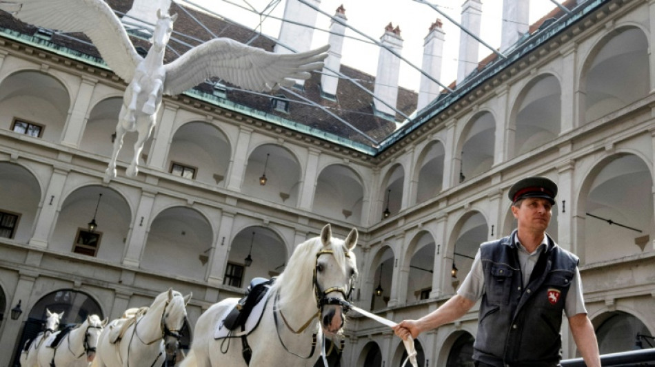 Vienna's Spanish Riding School probed over animal abuse claims