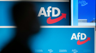 Schuldzuweisungen nach Sieg von AfD-Kandidat bei Oberb&uuml;rgermeisterwahl in Pirna