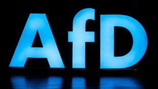 Berlin: AfD-Politiker hat kein Recht auf Einstellung im gehobenen Beamtendienst