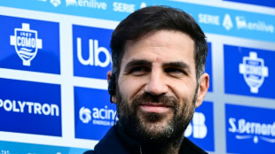 Gazzetta dello Sport: Gespr&auml;che zwischen Bayer und F&agrave;bregas