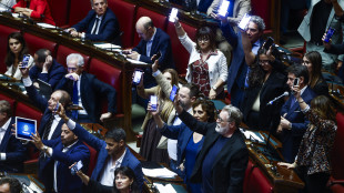 L.elettorale: emendamenti Dem sulle preferenze pure,valutazione in FdI