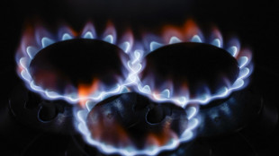 Stop alle tutele graduali per l'energia dal 31 marzo 2027, governo valuta proroga