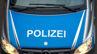 Massenschl&auml;gerei in Strandbad in Neubrandenburg mit 40 Beteiligten