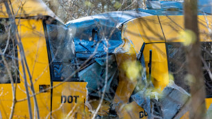 18 injured, five critically, in head-on train crash in Denmark