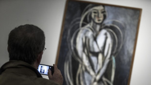 Rubati 8 disegni di Matisse dalla biblioteca di San Paolo