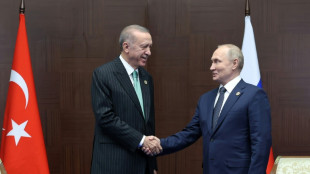 Erdogan to push Putin on grain deal in Russia