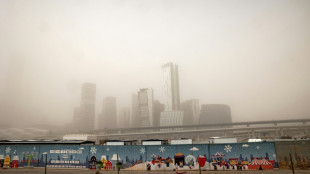 Plusieurs pays du Moyen-Orient touch&eacute;s par des temp&ecirc;tes de sable