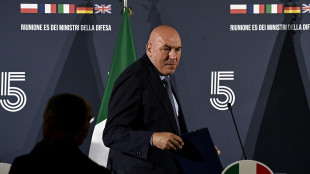 Crosetto,nel 2026 raddoppio produzione missili per SampT