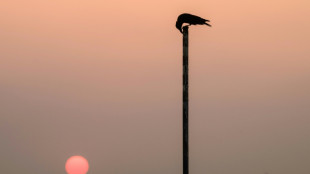 &iquest;Centros de datos en &oacute;rbita? Una posibilidad ante la demanda de energ&iacute;a para la IA