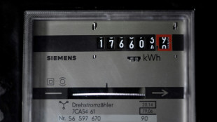 Bundesnetzagentur er&ouml;ffnet Aufsichtsverfahren gegen zwei Energielieferanten
