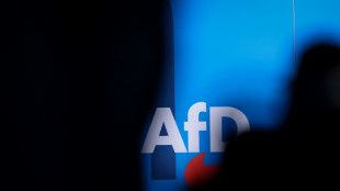 Gericht: Stadt Essen muss AfD Grugahalle f&uuml;r Parteitag zur Verf&uuml;gung stellen 