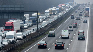 Autobahn in Niedersachsen nach Unfall wegen Schweinek&ouml;pfen auf Fahrbahn gesperrt