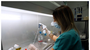Prolungata del 25% la vita di animali, la chiave in un enzima