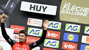 Liège-Bastogne-Liège: dans les Ardennes, les Français reprennent des couleurs