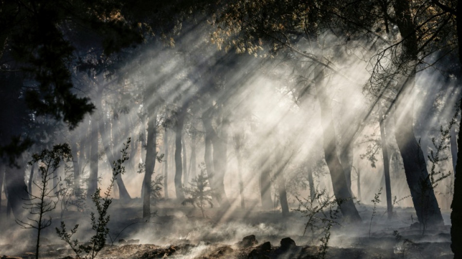 Grecia declara el estado de emergencia en la isla de Quíos por los incendios