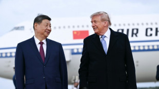 Trump to fete Xi with lavish White House welcome