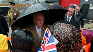 El rey Carlos III celebra su 77 cumpleaños decidido a seguir trabajando pese a su cáncer