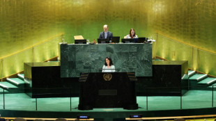 Baerbock-Bewerbungsrede: UNO im 80. Gründungsjahr wichtiger denn je