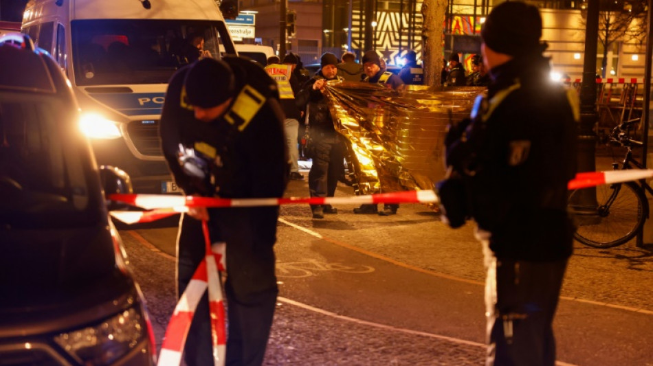 Vornamensliste von Tatverdächtigen: Berliner Verfassungsgericht gibt AfD recht