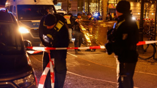 Vornamensliste von Tatverdächtigen: Berliner Verfassungsgericht gibt AfD recht