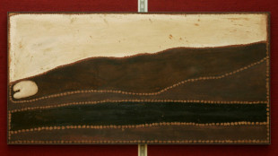 Australia bloquea la expansi&oacute;n de una mina en un sitio sagrado de los abor&iacute;genes