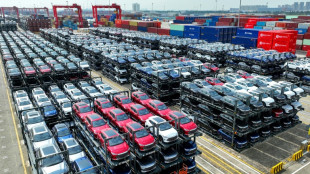 Chinesischer Elektroautobauer BYD k&uuml;ndigt Bau einer Fabrik in Ungarn an 