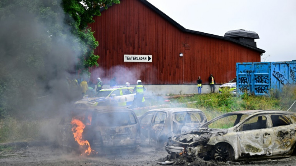 At least 7 hurt, 100 detained in clashes at Eritrean Stockholm festival