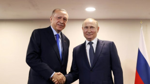 Erdogan k&uuml;ndigt baldige Fortsetzung von "Anti-Terror-Kampf" in Syrien an