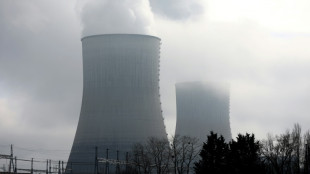 AIE prev&ecirc; recorde de produ&ccedil;&atilde;o de energia nuclear em 2025
