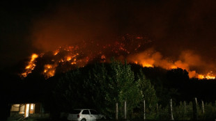 Los incendios en la Patagonia argentina reviven viejas narrativas antisemitas