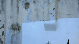 UK's street artist Banksy unveils latest mural in London