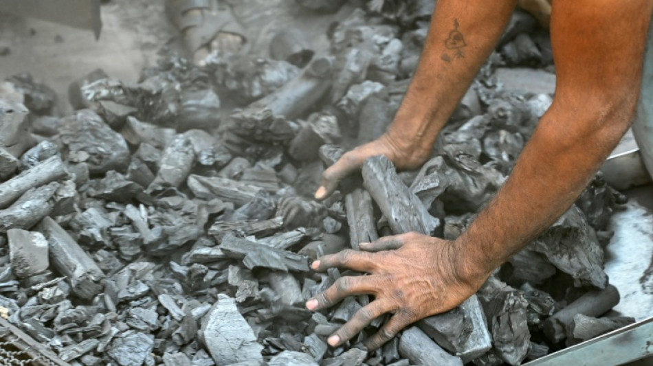 Italy delays coal phase-out by over a decade